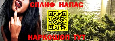 индика Кунгур